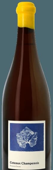 Coteaux Champenois