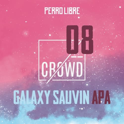 Crowd 08 Galaxy Sauvin APA