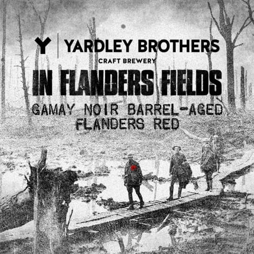 In Flanders Fields: 3-year Gamay Noir Barrel-Aged Flanders Red