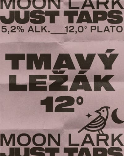 Just Taps! Tmavý Ležák 12°