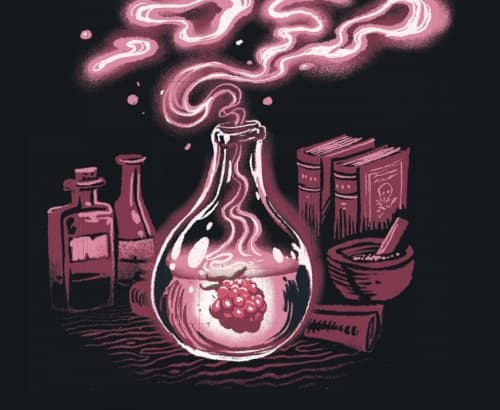 Love Potion (5%) Pastry Gose Framboise Vanille
