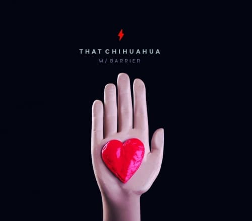 THAT CHIHUAHUA