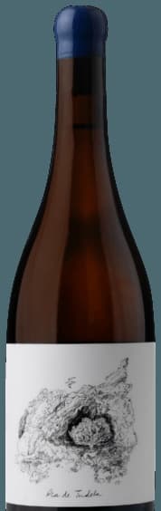 Burgberg Grüner Veltliner