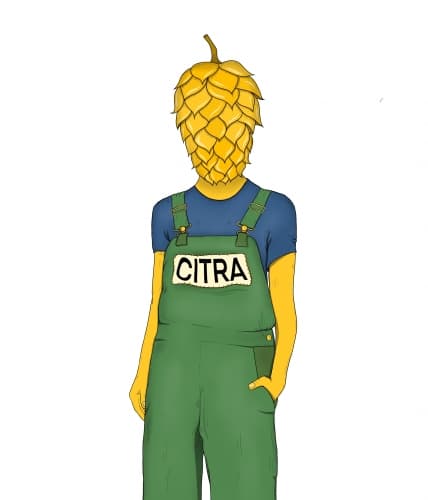 CITRA CITRA