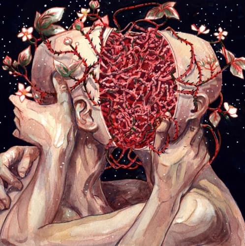 Spleen 3