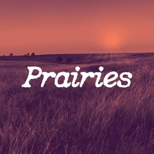 Prairies