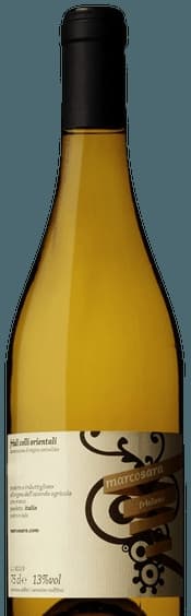Friulano
