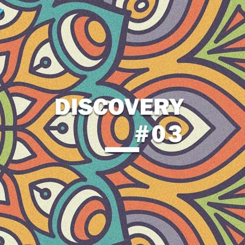Discovery #3 Double Citrus Hazy IPA