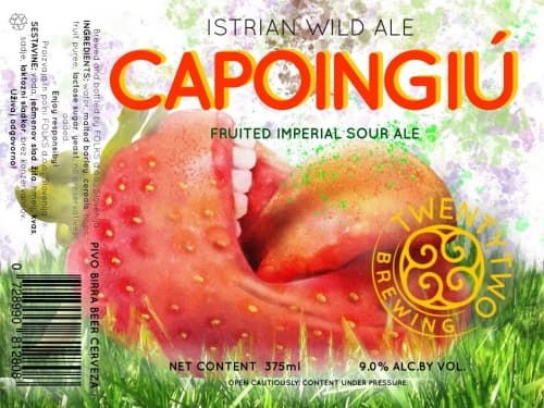 Capoingiu-Fruited Imperial Sour Ale