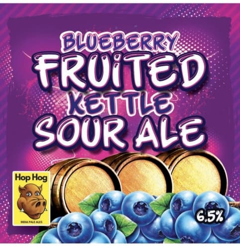Blueberry Fruited Kettle Sour