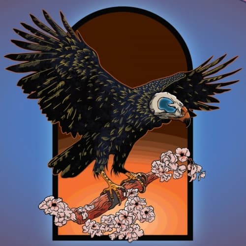 Black Kite