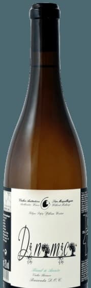 DNMC - Dinamico Branco
