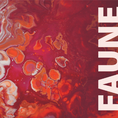 Faune