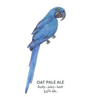 Extinction Is Forever!: Hyacinth Macaw