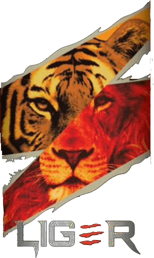 Liger Dark Lager