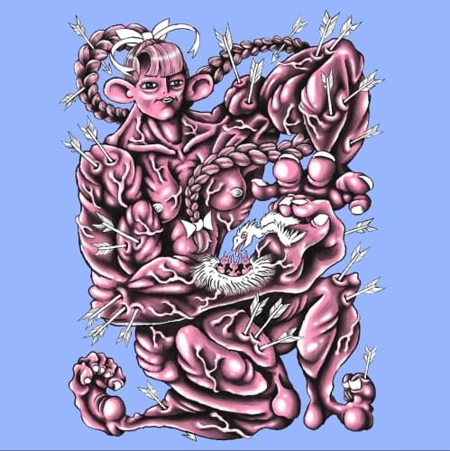 Musculosa