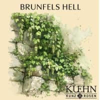 Brunfels Hell