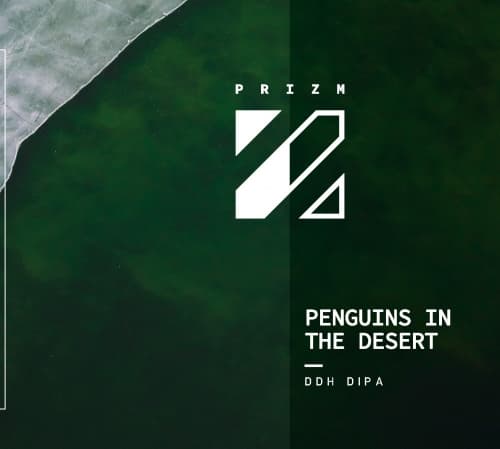 Penguins In the Desert