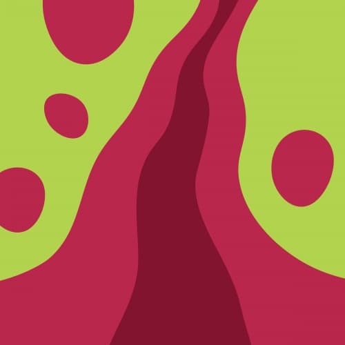 Slurpii (Cherry + Lime)