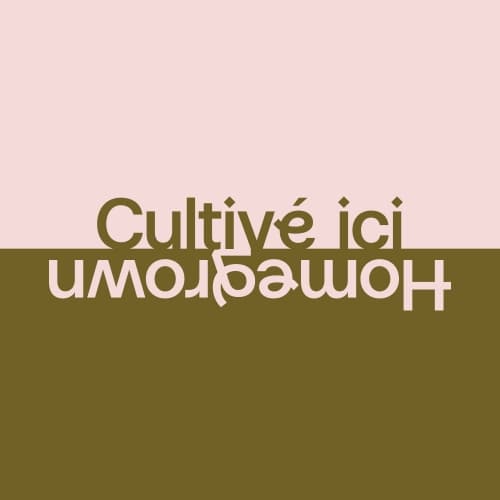 Cultivé Ici-Homegrown