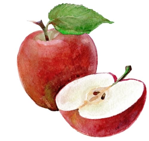 Cider 2023