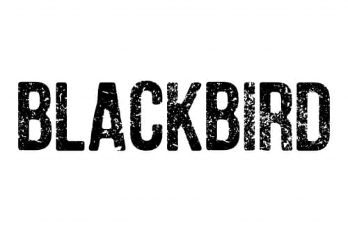 Blackbird