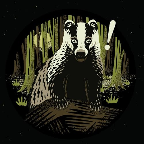 That's the Badger