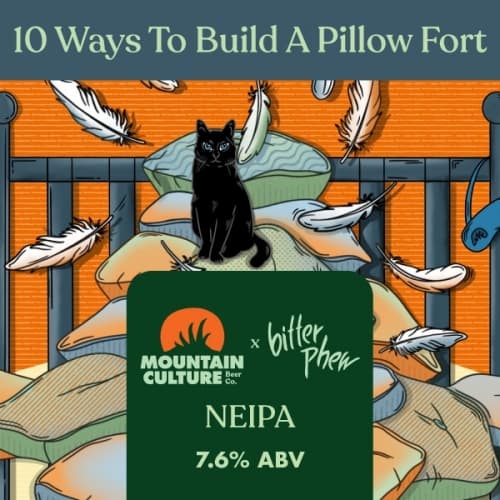 10 Ways To Build A Pillow Fort