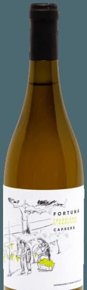 Fortuna Trebbiano d’Abruzzo