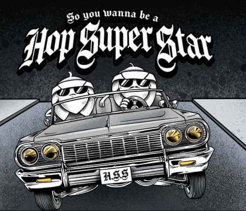 So You Wanna Be A Hop Superstar?