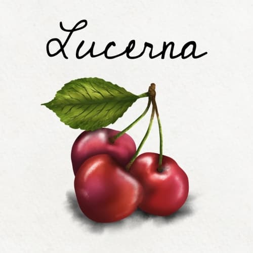 Lucerna