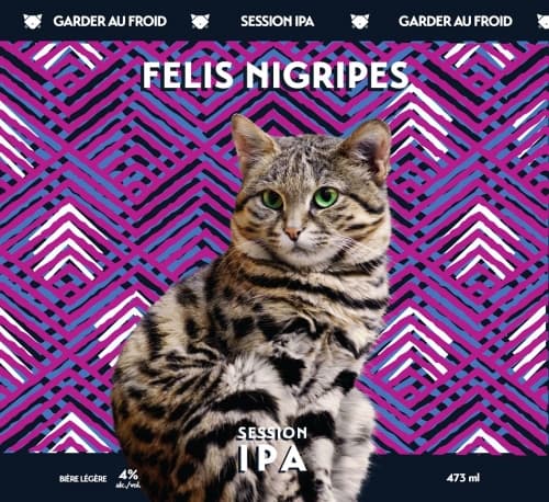 Felis Nigripes