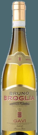 Bruno Gavi