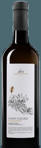 Falanghina Campi Flegrei