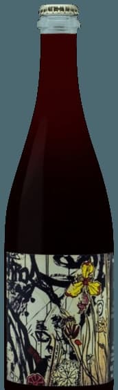 Jellyfish Grenache