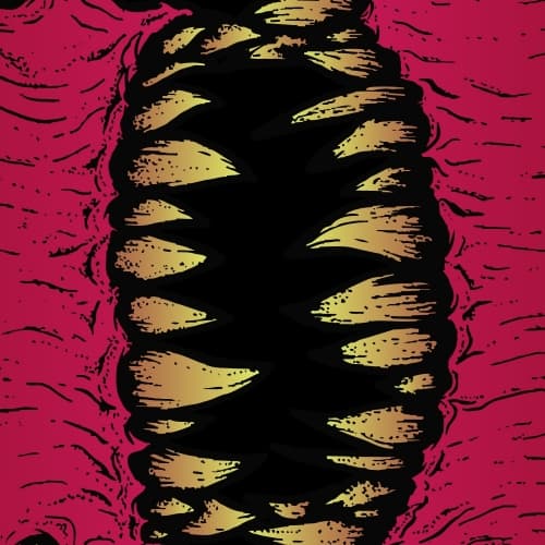 Evolve! Morph 3