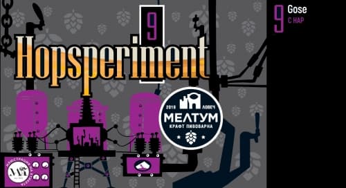Hopsperiment #9 - Pomegranate Gose