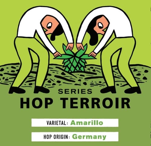 Hop Terroir Series: Amarillo Germany