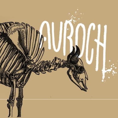 Auroch