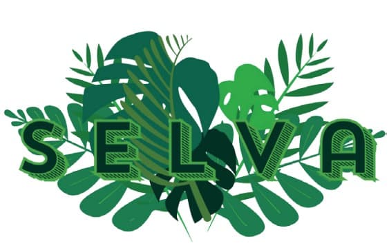 Selva
