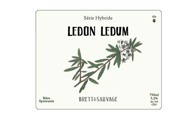 LEDON LEDUM