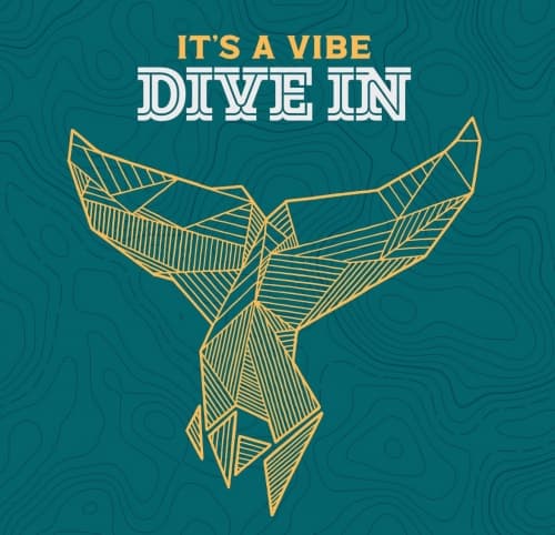 It's A Vibe, Dive In