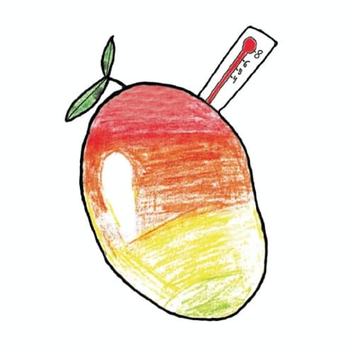 Mangofeber