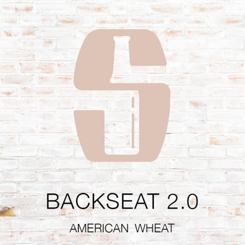 Backseat 2.0