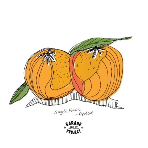 Single Fruit - Apricot