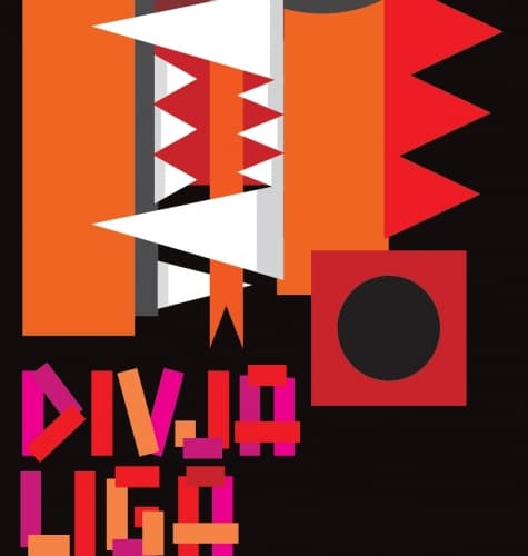 DIVJA LIGA ÖL #68 Pale Ale Golding