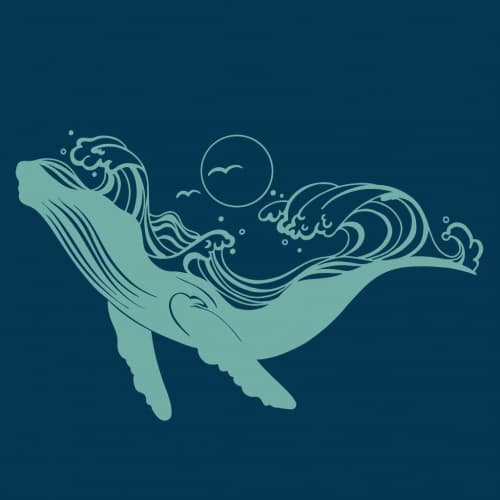 Flow