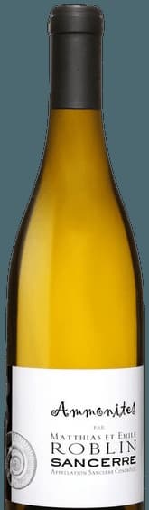 Ammonites Sancerre