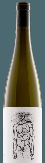 Hofstudien Grüner Veltliner