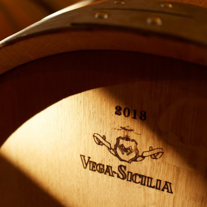 Tempos Vega Sicilia
